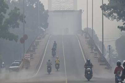 Endonezya'da orman yangınları Borneo'daki yangınlar Malezya'ya ulaştı