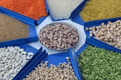 Gıda ithalatında yeni karar! Bakanlık yetkili iller listesine bir ili daha ekledi