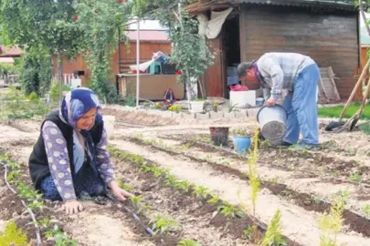 Hobi bahçeleri için yeni dönem başlıyor