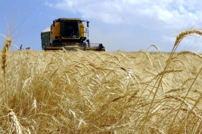 IPARDIII kapsamında üretici ve yatırımcılara 634,3 milyon lira ödeme yapıldı
