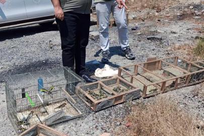 Kahramanmaraş’ta kaçak saka kuşu avlayan 4 kişiye 2,2 milyon lira ceza