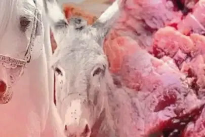 Tantuni ve dana kavurmada tek tırnaklı eti