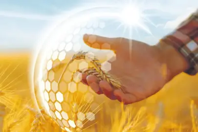 Tarımda sigorta 1.1 trilyon lirayı aştı