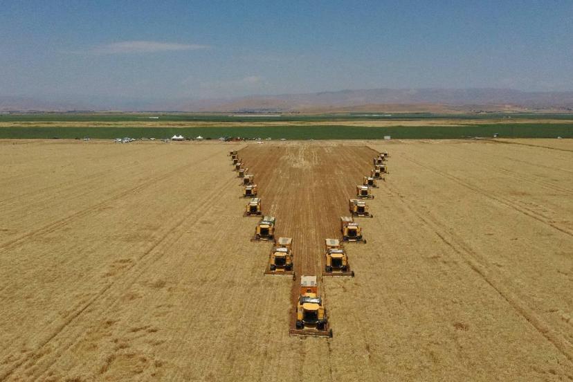 TARSİM'den üreticiye 6,6 milyar liralık hasar desteği
