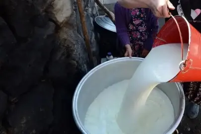 Toplanan inek sütü miktarı %6,5 arttı