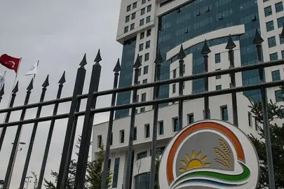 Bakanlık duyurdu: 3 tarım ilacının ithalat ve kullanımına son veriliyor