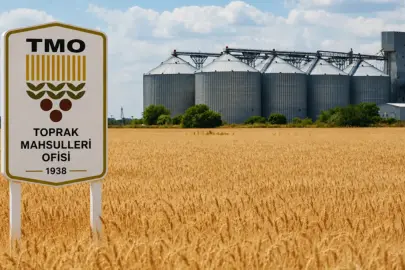 Çiftçiler dikkat, hesapları kontrol edin! TMO'dan milyarlarca TL'lik ödeme geldi