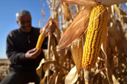 Çiftçilere hayati çağrı yapıldı
