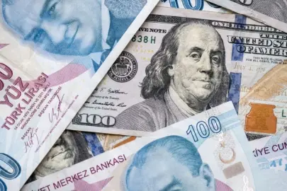 Finansal kesim dışı firmaların net döviz açığı bir ayda 5 milyar dolar arttı