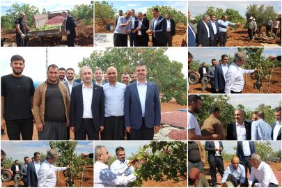 HÜDA PAR Milletvekili Demir: Fıstık üreticisinin ayakta kalabilmesi için acil müdahale gerekiyor