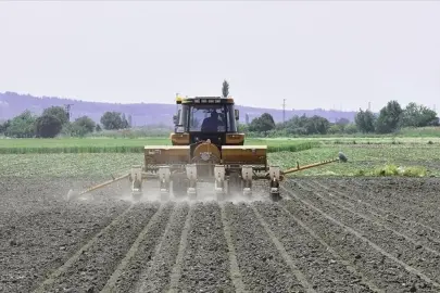 Tarım sektörünü ilgilendiren veri belli oldu