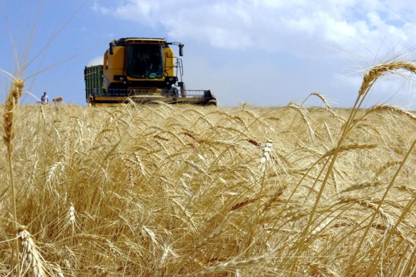 Tarım ÜFE ağustosta azaldı