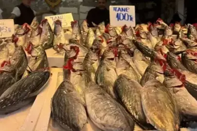Tezgahlar o balıkla dolup taşıyor... Tanesi 100 TL