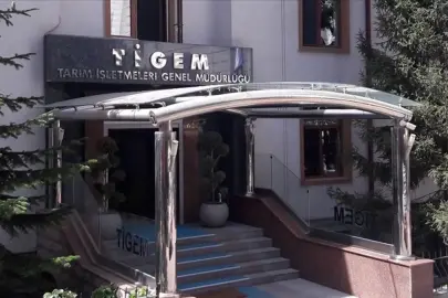 TİGEM 20 bin kilogram karkas sığır eti satacak