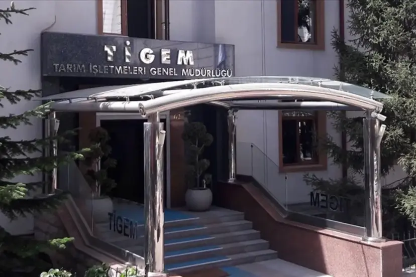 TİGEM 20 bin kilogram karkas sığır eti satacak