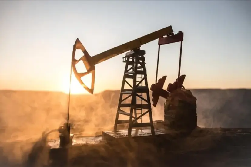TPAO iki ilde 2028'e kadar petrol aramaya devam edecek