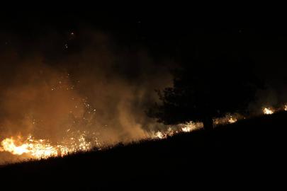 Bursa'da orman yangını