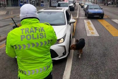 İstanbul'daki "huzur" uygulamasında 529 kişi gözaltına alındı