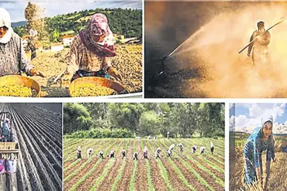 Kadın çiftçiye pozitif ayrımcılık