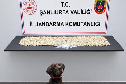 Şanlıurfa'da 14 bin uyuşturucu hap ele geçirildi