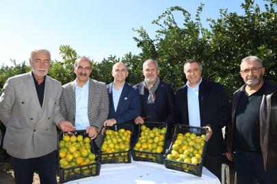 Satsuma mandalinanın ihracat yolculuğu başladı
