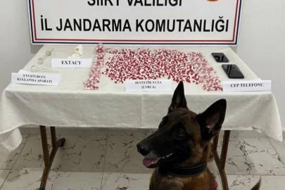 Siirt’te uyuşturucu operasyonu: 2 bin 650 hap ele geçirildi