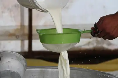Süt üreticilerine ilave destek! Soğutulmuş çiğ süt için yeni kriterler... Mesleki yeterlilik belgesi şartı getirildi