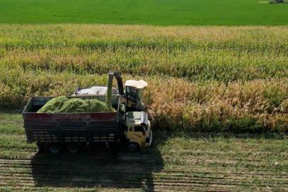 Tarım ve gıda yatırımlarına 10 milyon dolara kadar finansman desteği