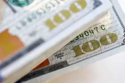Türkiye, ESG ihraçlarından yüzde 11,7 pay aldı