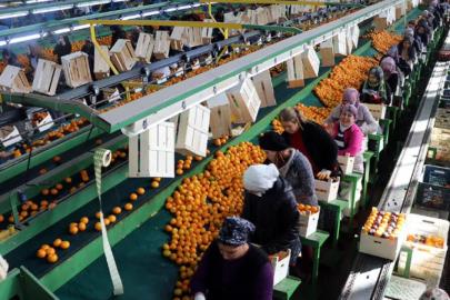 Türkiye ihracatında 9 ayda 211 milyar dolarlık rekor
