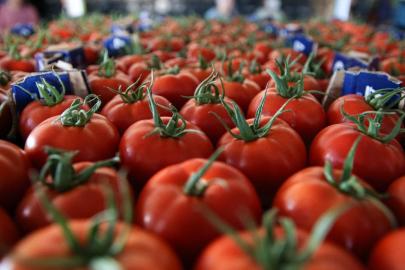Yaş sebze ihracatı 9 ayda 822 milyon dolara ulaştı