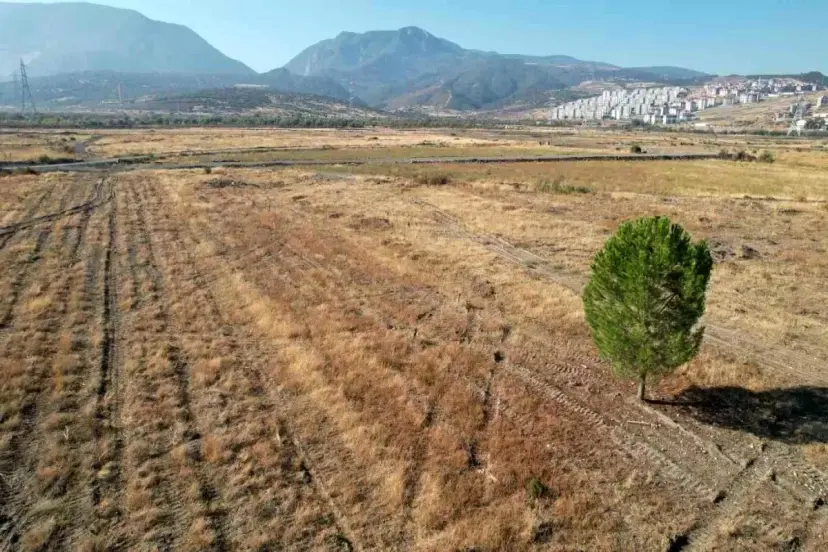 2026'da hizmete girecekti BYD fabrikası yılan hikayesine döndü