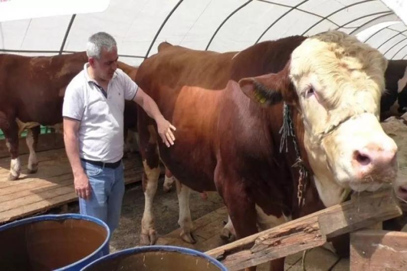 Adı 'TOGG' Ağırlığı 1,5 Ton Fiyatıyla da Dikkat Çekiyor