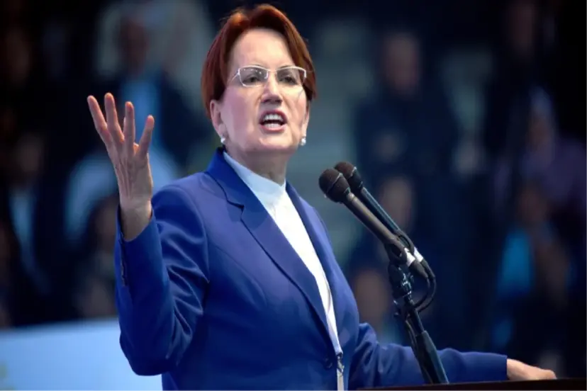 Akşener'in İYİ Parti'ye gönderdiği yazıda "İçişleri Eski Bakanı" detayı dikkat çekti