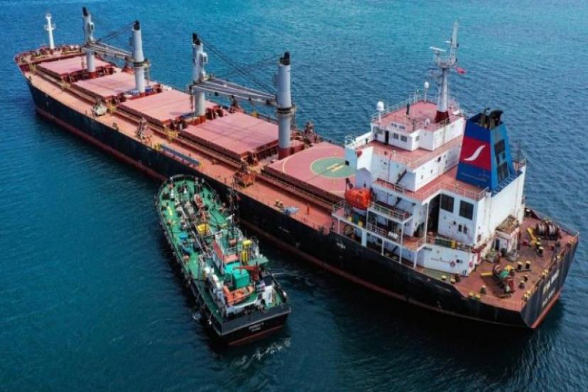 Alman Gazetesi: Rusya, Türkiye ve Katar Yeni Bir Tahıl Anlaşması Hazırlıyor