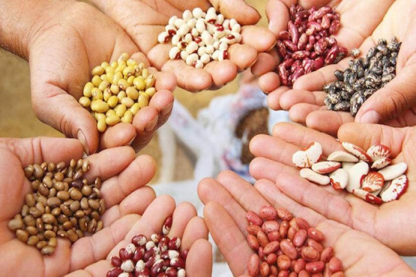 Ülkeler Peş Peşe Yasaklama Kararı Alıyor! Altın Fiyatları İle Yarışıyor