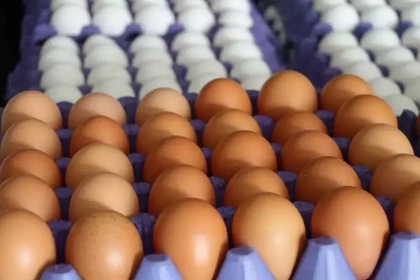 Amerika etkisi zincir marketlerde yumurta fiyatlarına yansıdı
