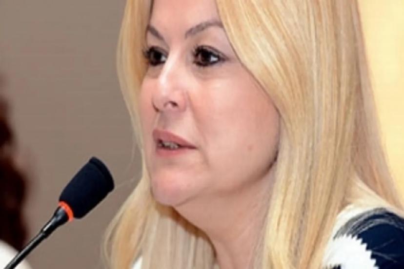 Arıboğan, Suriyeli Mültecilerde O Ülke İstihbaratını İşaret Etti, Oyuna Gelmeyelim