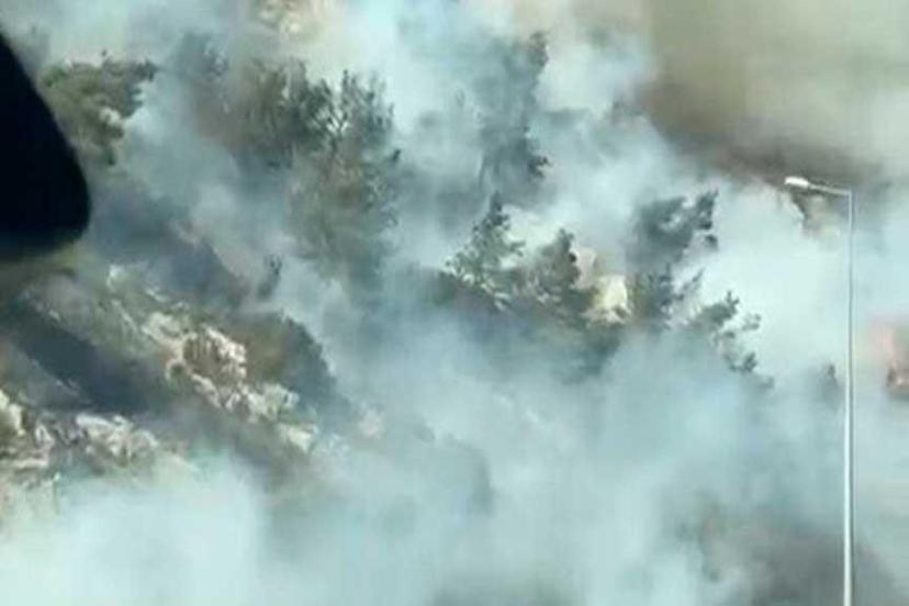 Aydın'da yangın! Havadan ve karadan müdahale ediyor