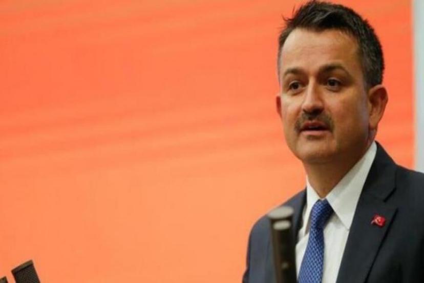 Bakan Pakdemirli'den devam eden yangınlarla ilgili son tablo