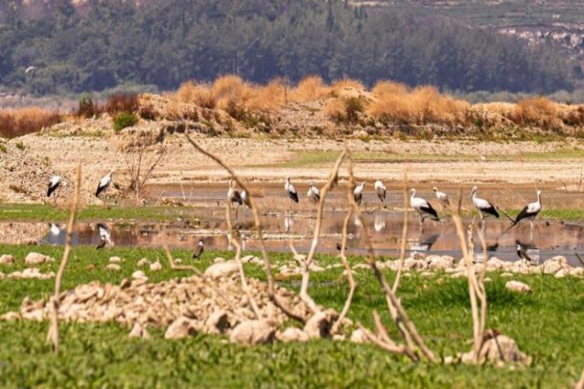 Barajlarda doluluk oranları yüzde 10'lara düştü: Her damla çok değerli!