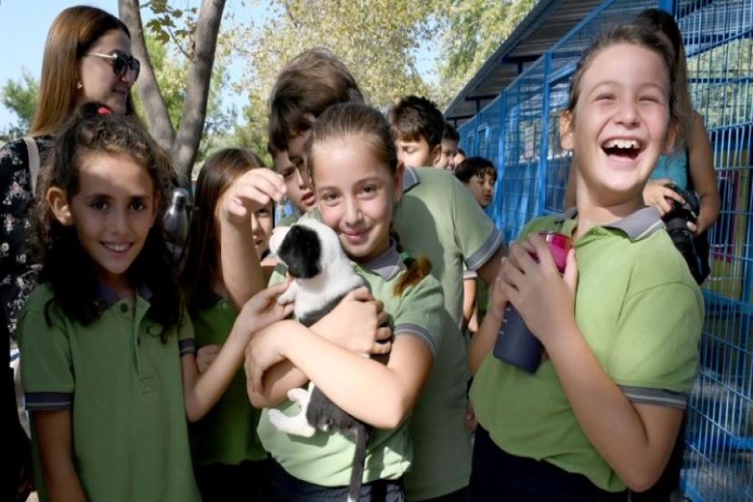 Başkan Ömer Günel:'Hayvan Dostu Kent' Hedefine Ulaştı