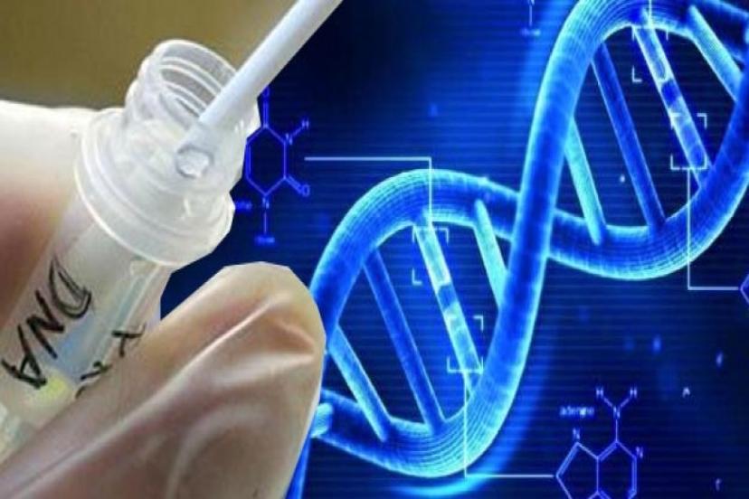 Bilim insanları 1 milyon yıllık DNA keşfetti