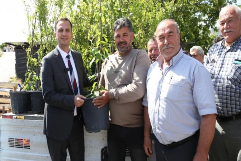 Bir yılda 10 bin meyve fidanı dağıtılacak