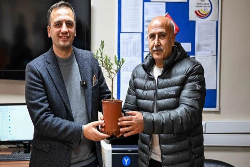 Bornova’da 24 Kasım hediyesi: Ölmez ağaç