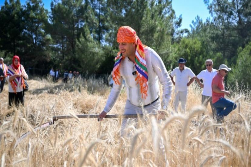 Bornova’da ilk hasat Başkan Eşki’den