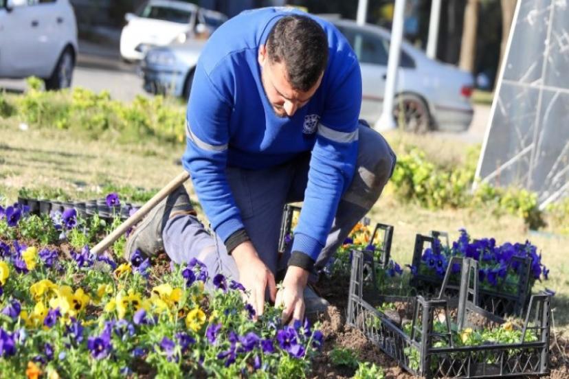 Buca’da yeşil doku için yoğun mesai