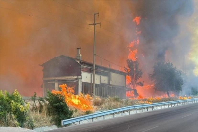 Çanakkale'de zamanla yarış! Yangın büyüdü... Evler, arabalar küle döndü...