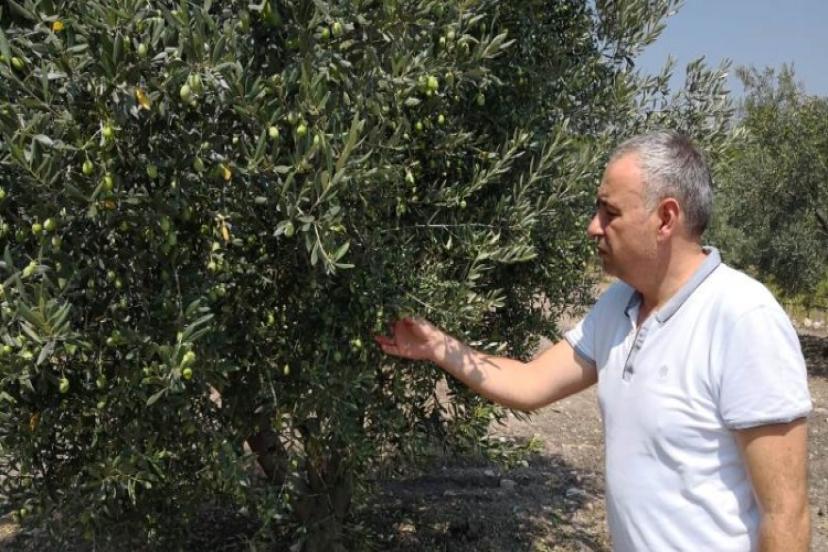 CHP’li Bakırlıoğlu Zeytin Leprası Hastalığına Dikkat Çekti