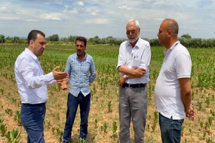 CHP’li Başevirgen, 'Manisalı tütüncünün beklentisi en az 70 lira'